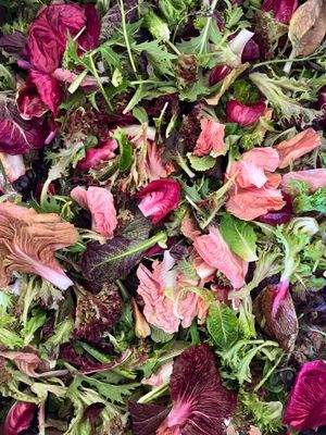 Wild &amp; Fancy Salad Mix, Hayshaker-1/2#