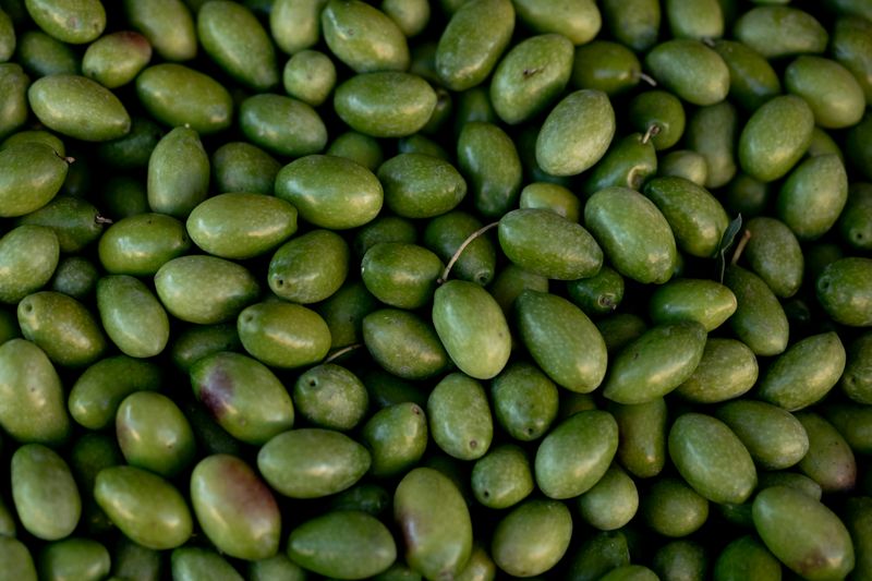 Lucques Olives- 8oz