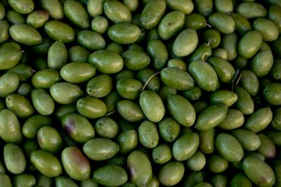 Lucques Olives- 8oz