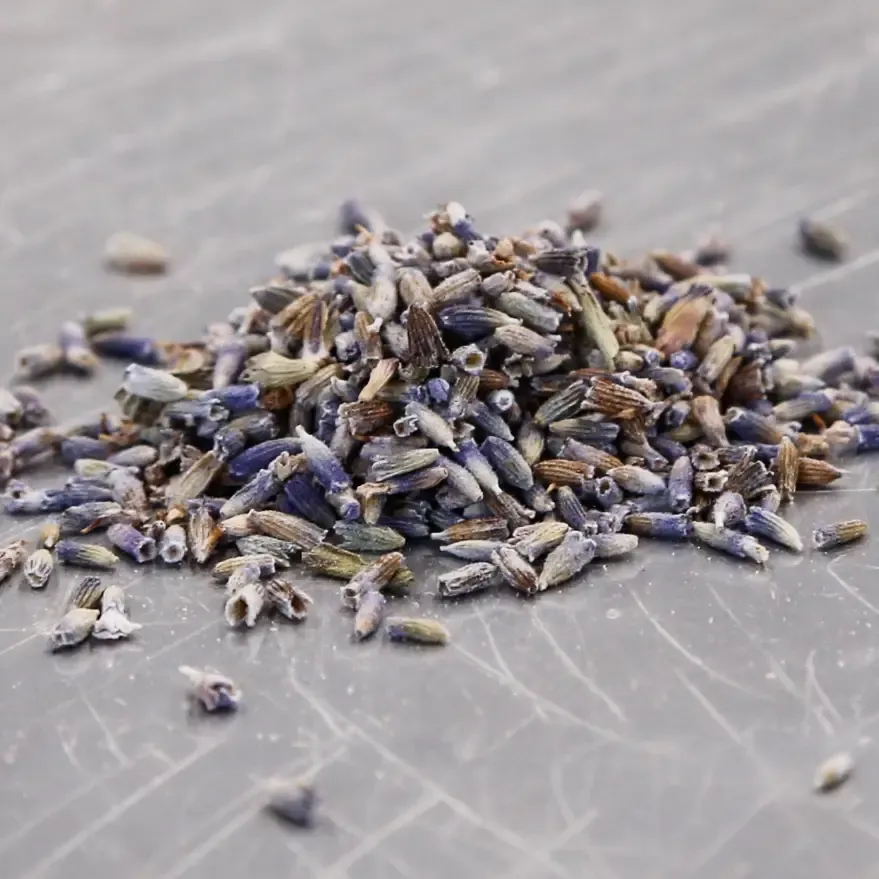 Lavender Flowers