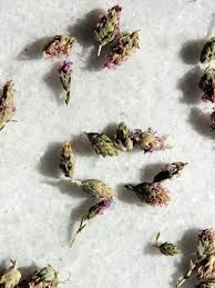 Wild Thyme Flowers, Daphnis and Chloe-14g