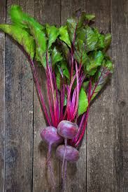 Purple Beets, WTF-1 bunch