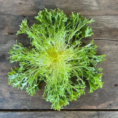 Frisée