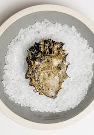 Wildcat Cove Oyster, Hama Hama-1Dz