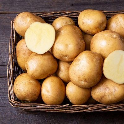 Satina Yellow Potatoes, Hayshaker-2#