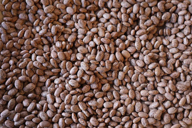 Pinto Bean, Rancho Gordo-1#