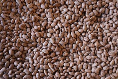 Pinto Bean, Rancho Gordo-1#