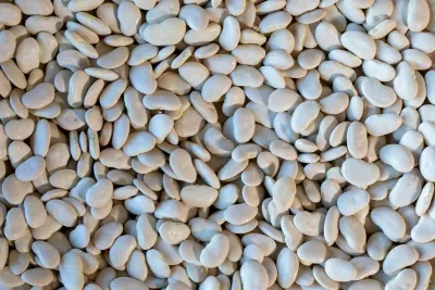 Large White Lima Bean, Rancho Gordo-1#