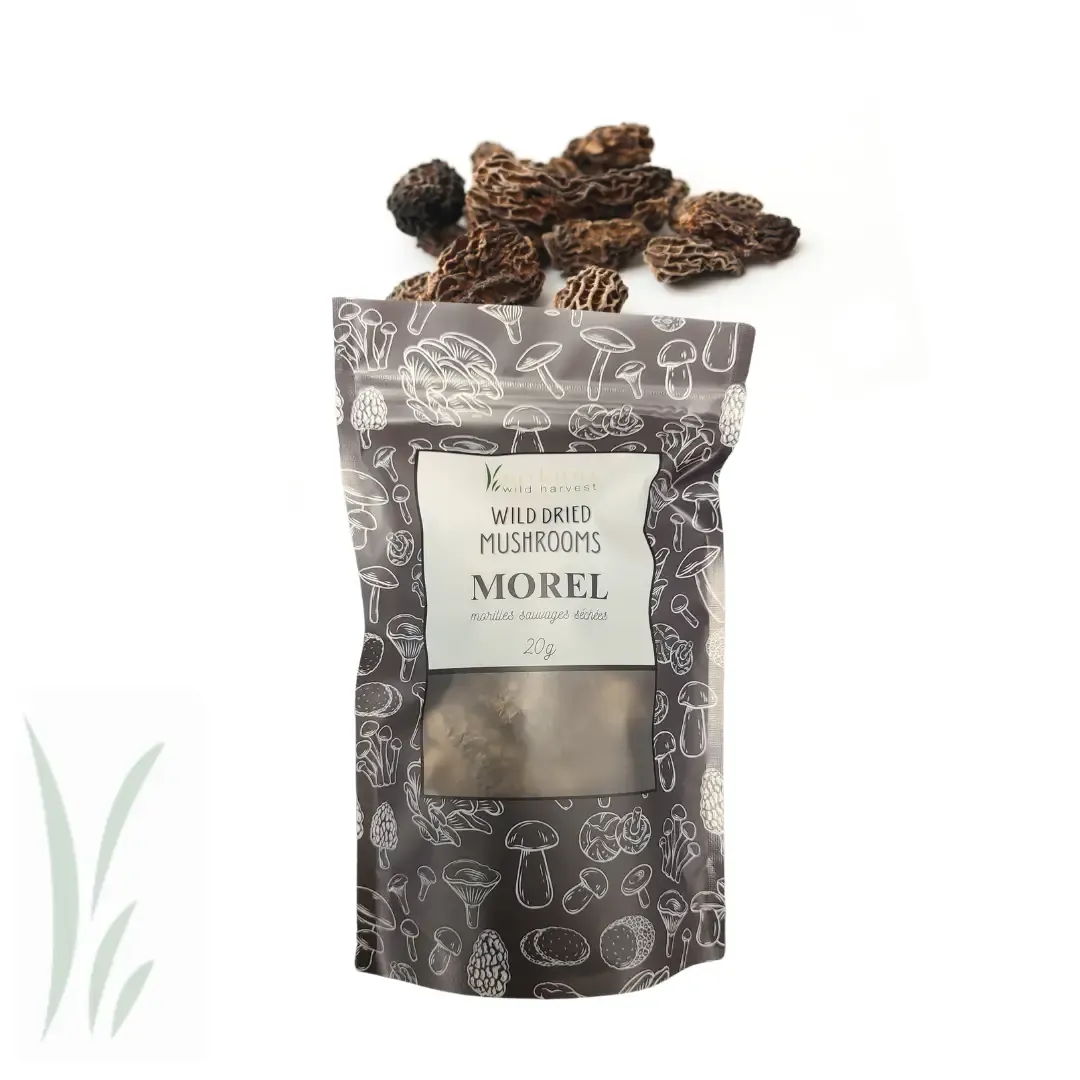Dried Wild Morel Mushrooms-20g