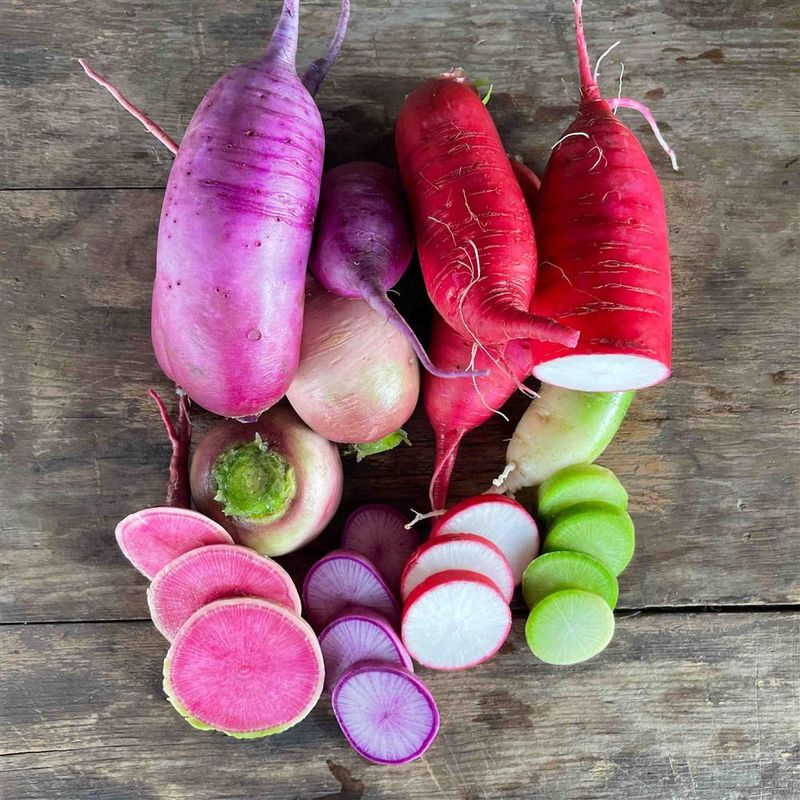 Winter Radish Mix, Hayshaker- 1#