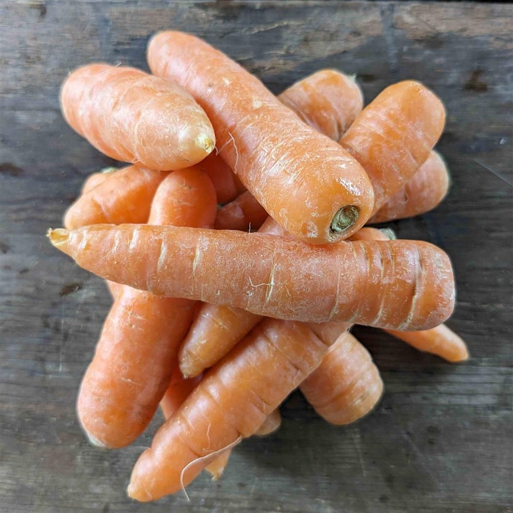 Carrots, Hayshaker-2#