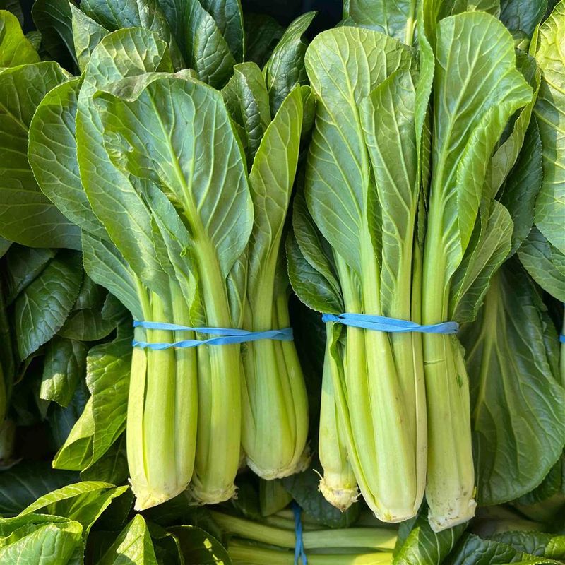 Komatsuna, Hayshaker-1 Bunch