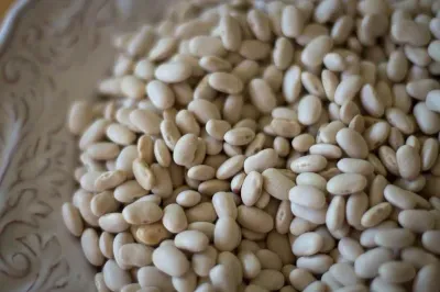 Alubia Blanca Bean, Rancho Gordo-1lb