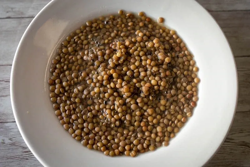 Puglia Lentil, Rancho Gordo-1#