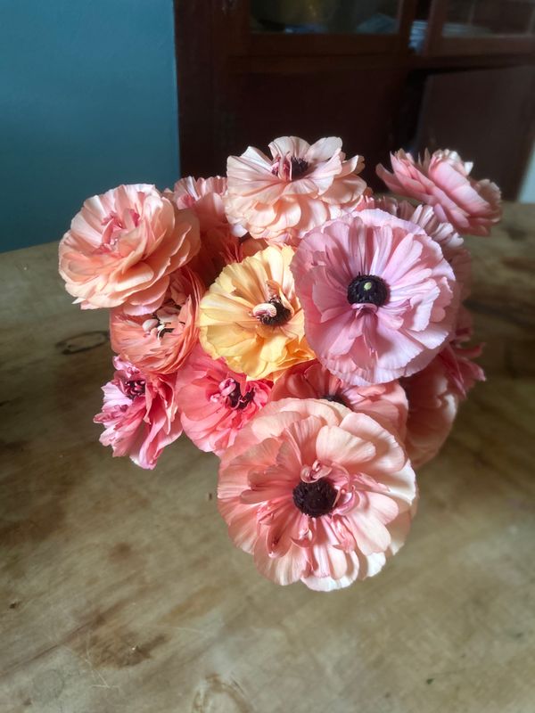 Ranunculus Flower Bouquet, WTF