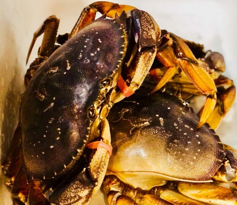 Dungeness Crab (Whole Cooked &amp; Cleaned)-1e