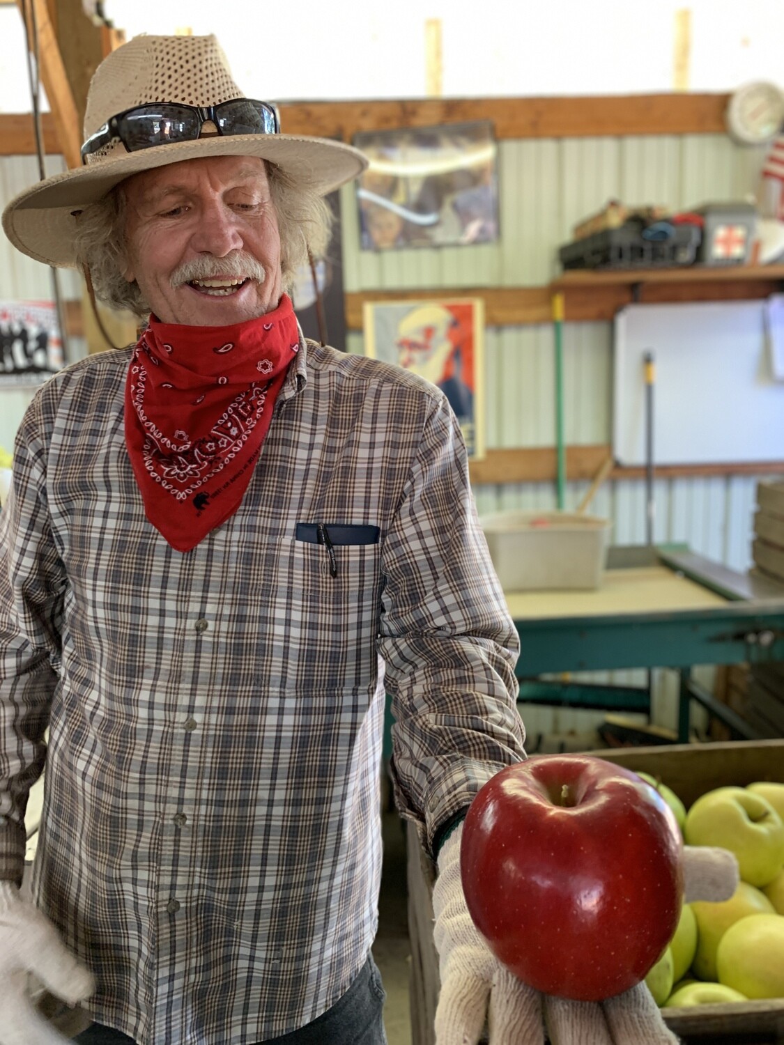 Jonathon Apples, Edwards Farm (avg 1.5#)-3e