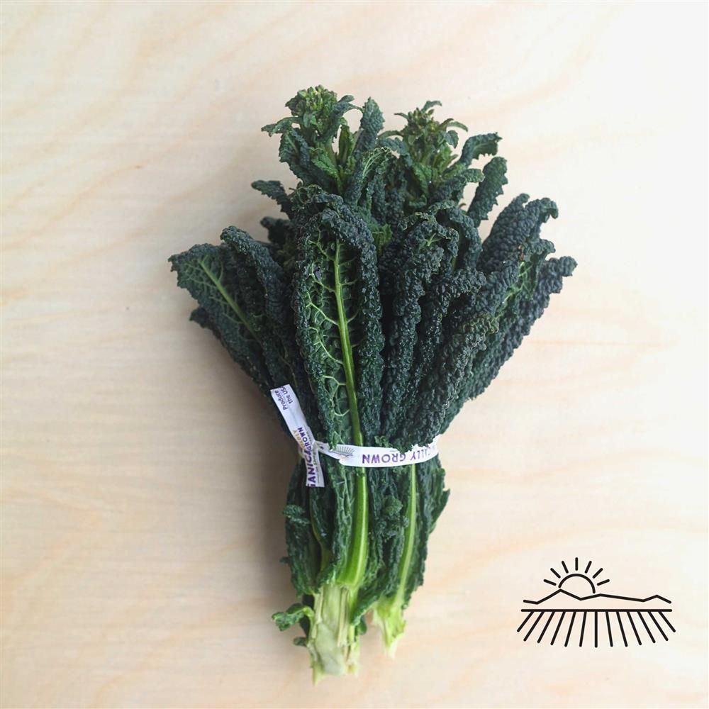 Lacinato Kale Rapini, Hayshaker Farm-1 bunch