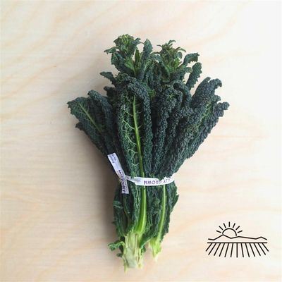 Lacinato Kale Rapini, Hayshaker Farm-1 bunch