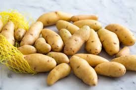 Yellow Fingerling (Organic)-2#