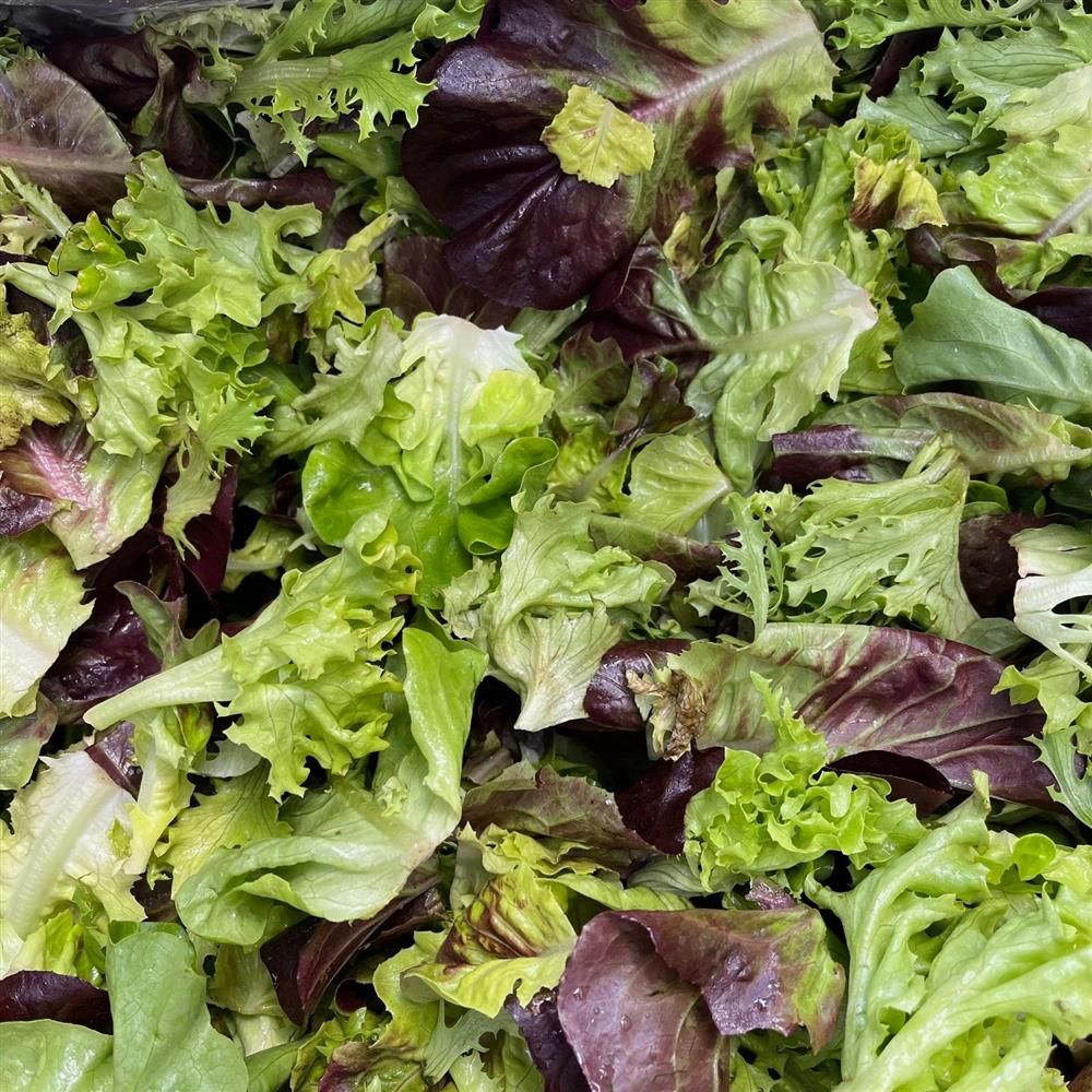 Lettuce Mix, Hayshaker Farm- 1/2#