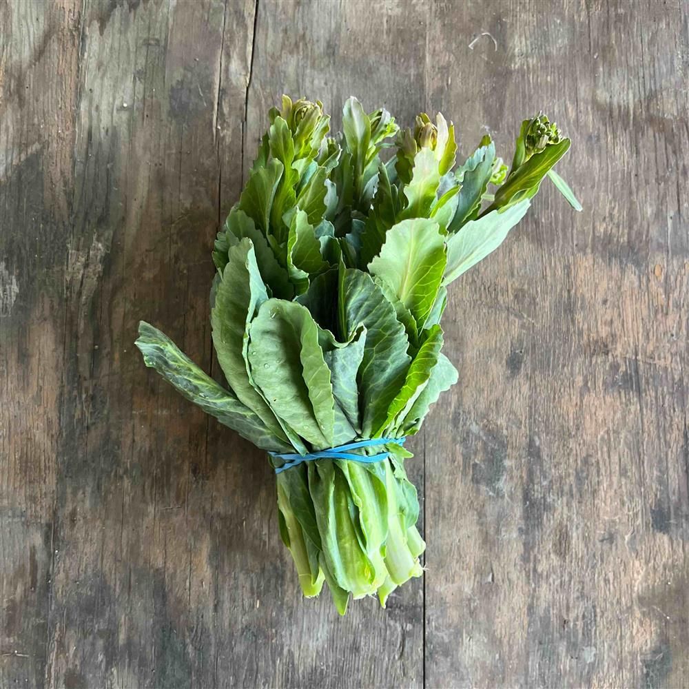 Cabbage Rapini, Hayshaker Farm- 1e