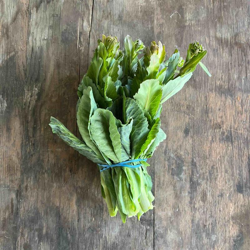Cabbage Rapini, Hayshaker Farm- 1e