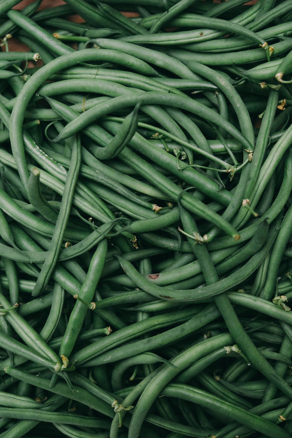Green Beans, Birch Creek Farm- 1#
