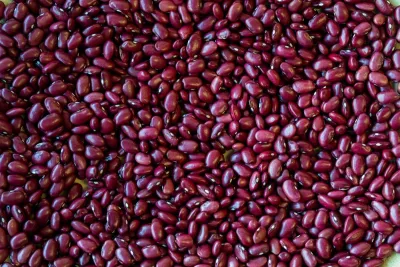 Hidatsa Red Bean, Rancho Gordo- 1#