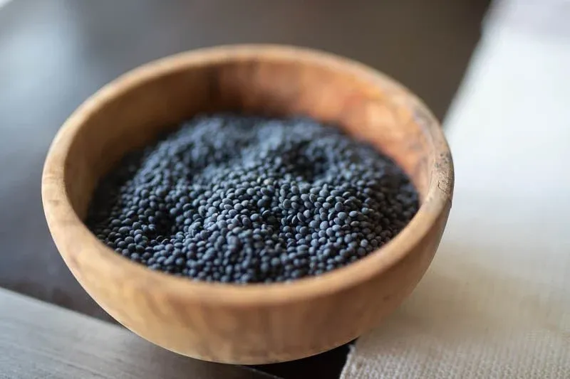Black Caviar Lentil, Rancho Gordo- 1#