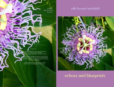 echoes and blueprints by sally hooper landefeld (feb. 2022)