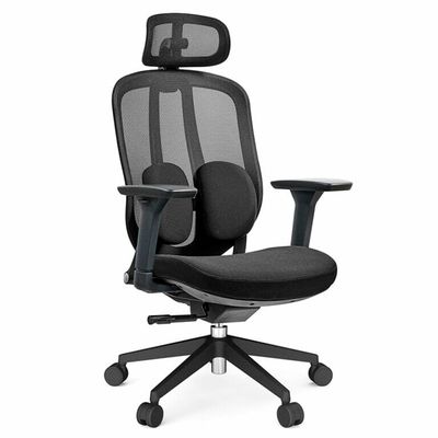 Silla Ejecutiva Organic Mesh