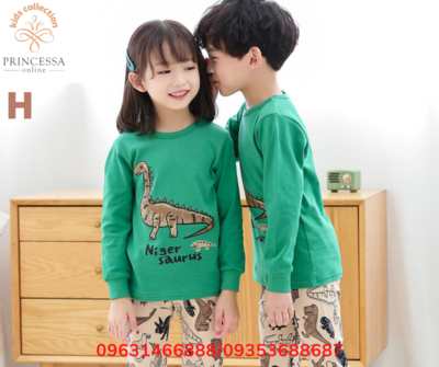 DINO SET