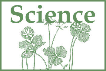 Self-Paced Course ~ ES Primer: Intro to Biology (Real Science 4 Kids)