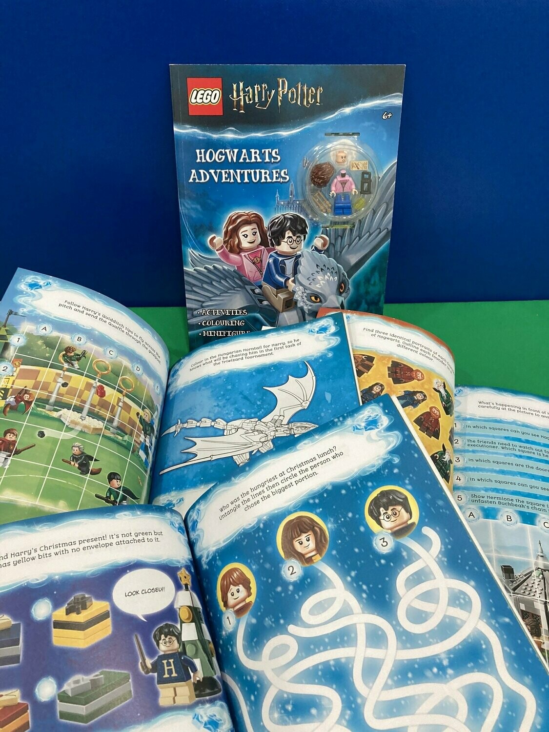 LEGO Harry Potter Hogwarts Adventures 6+