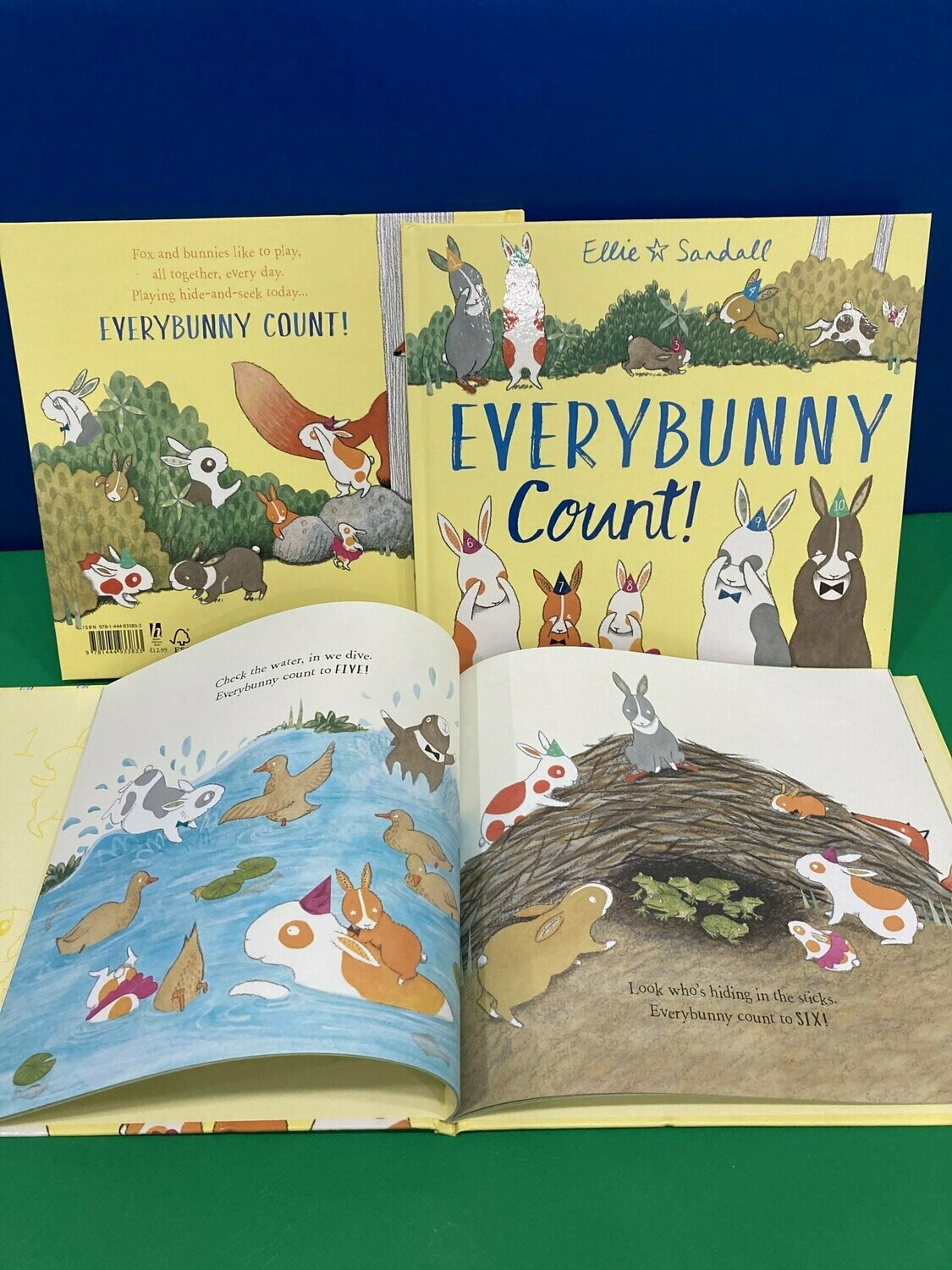 Everybunny Count! Hardback Book