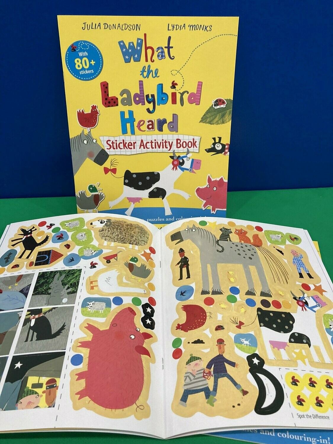 What the Ladybird Heard Sticker Activity Book