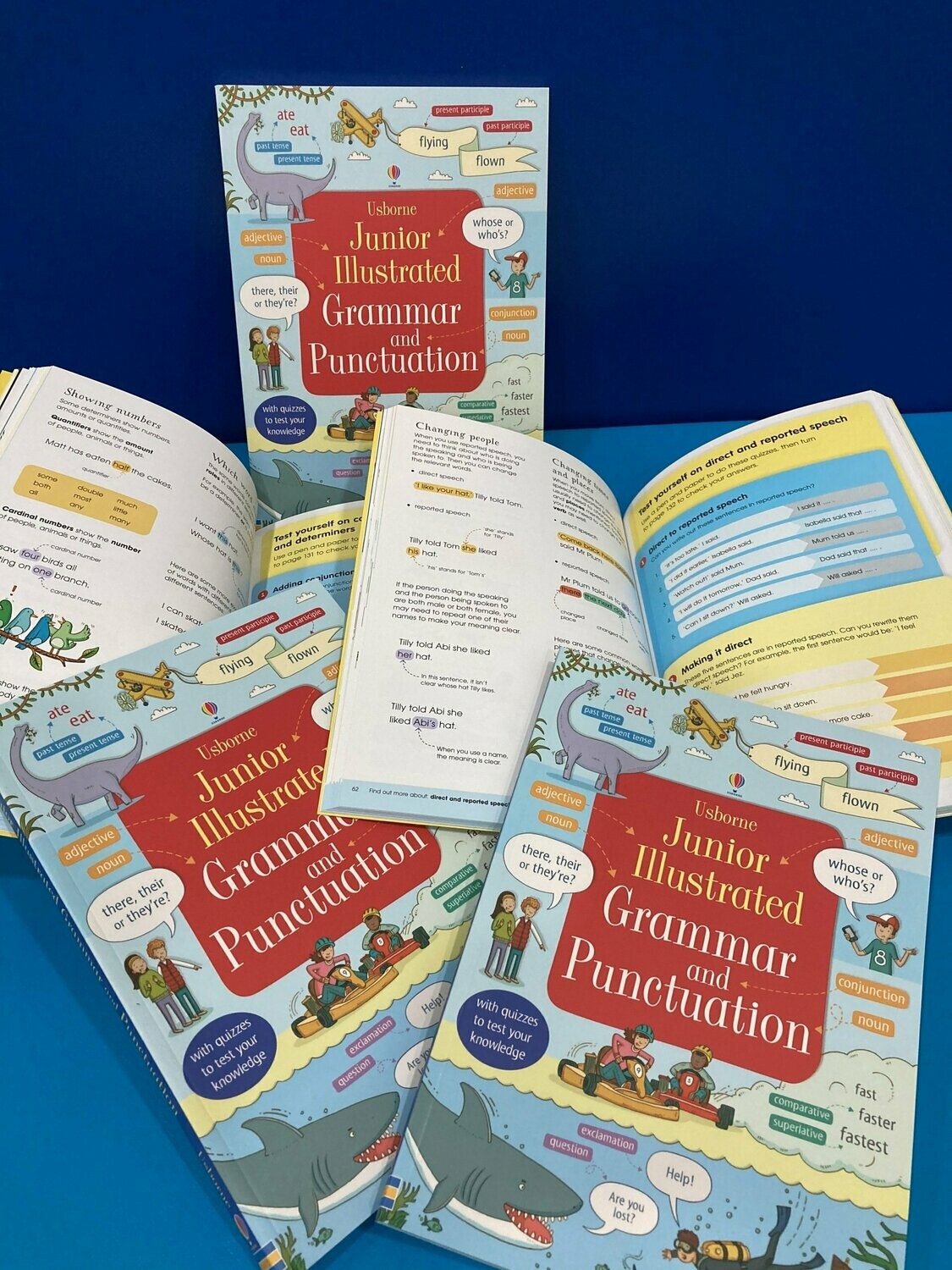Junior Illustrated Grammar and Punctuation