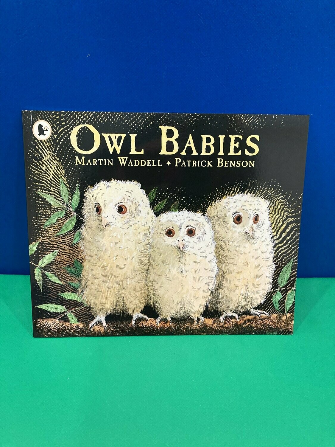 Owl Babies