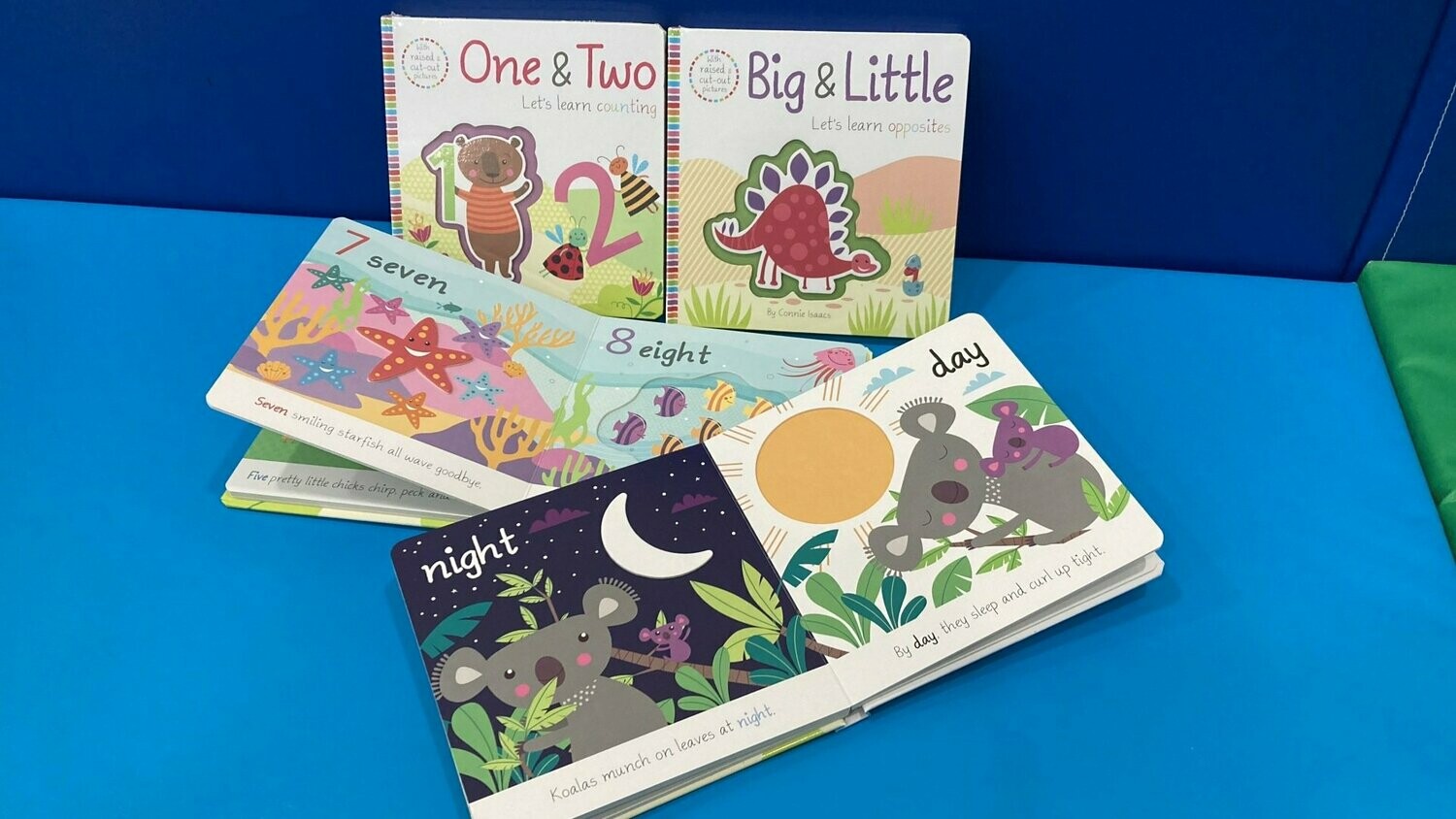 First Books Counting & Opposites