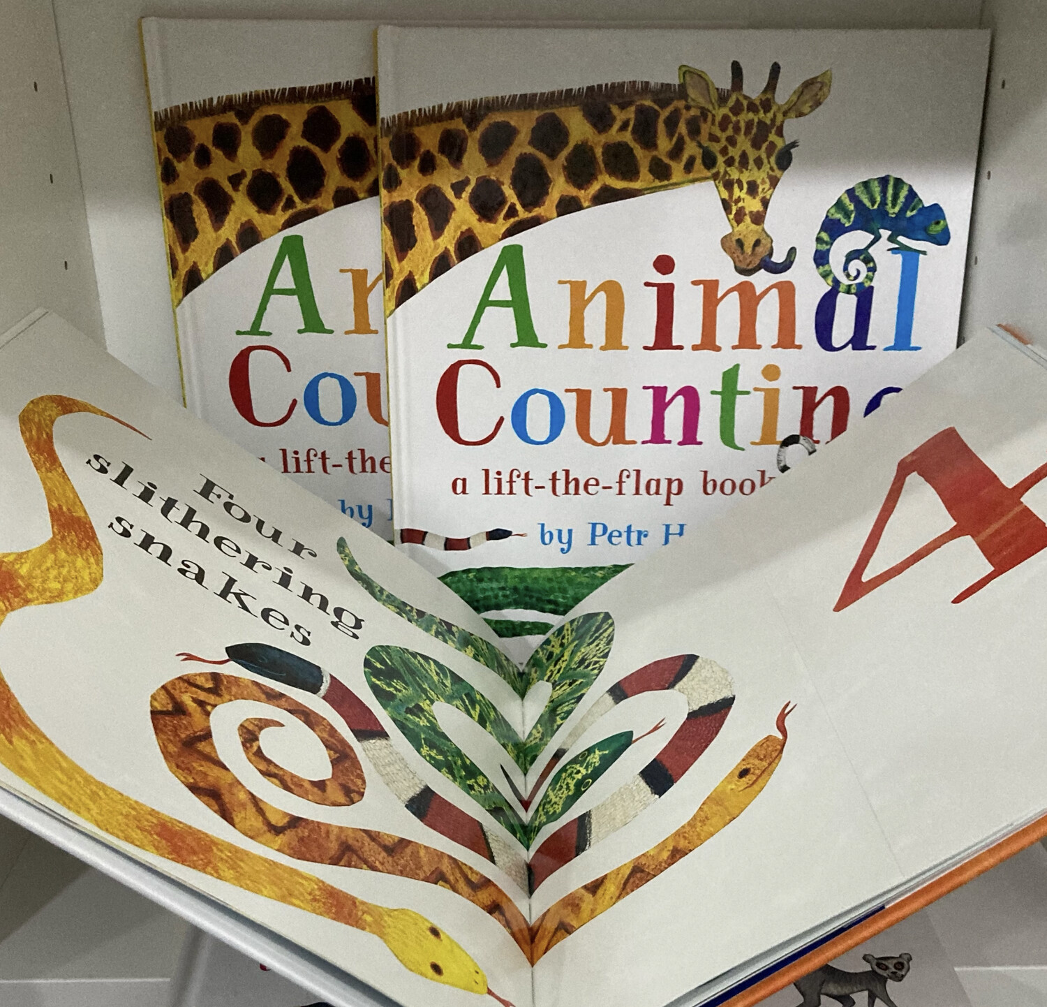 Animal Counting Hardback Book