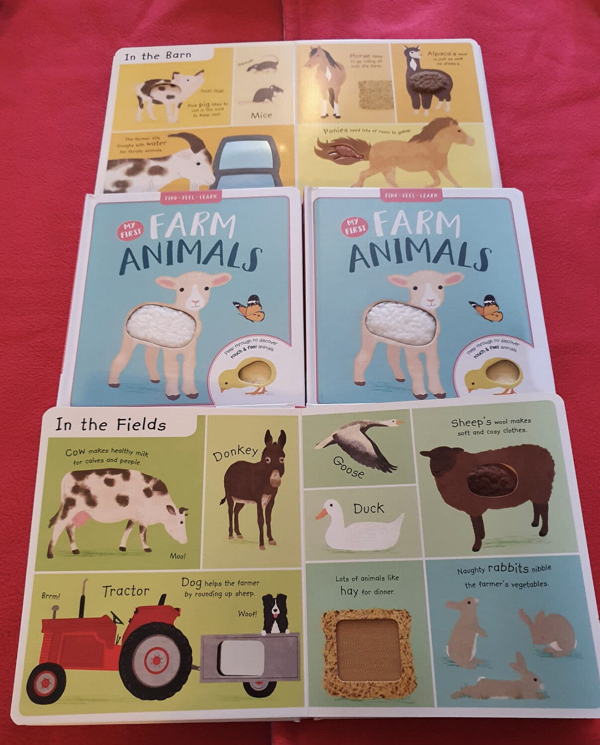 My First Farm Animals Board Book
