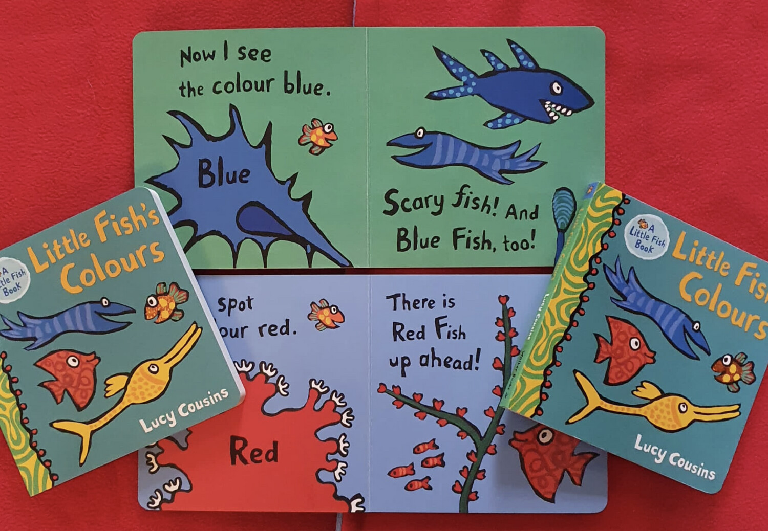 Little Fish Colours Board Book