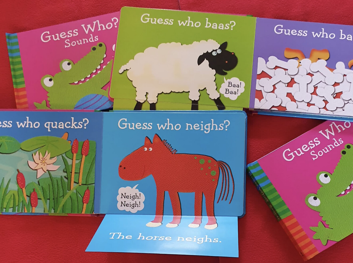 Guess Who?  Sounds Board book - lift the flap