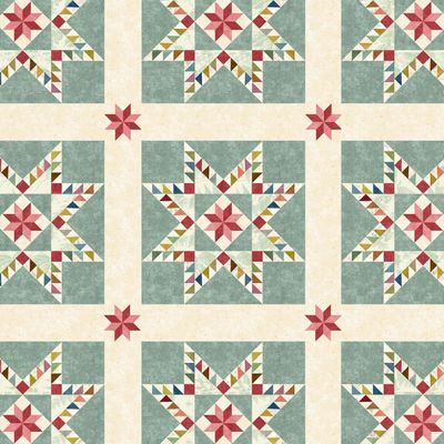 Kitchen Towel - Heritage Feathered Star