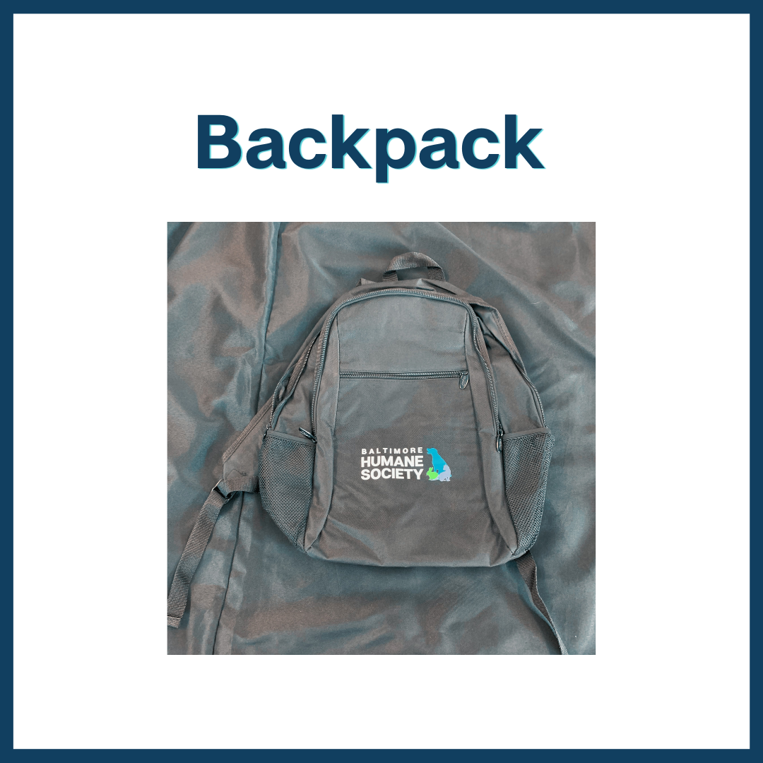 BHS Black Backpack