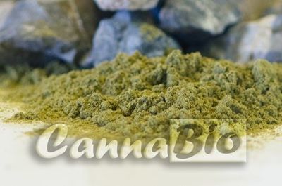 Protein konoplje (prah) - rinfuza (kilogram) Protein konoplje (prah) - rinfuza (kilogram)