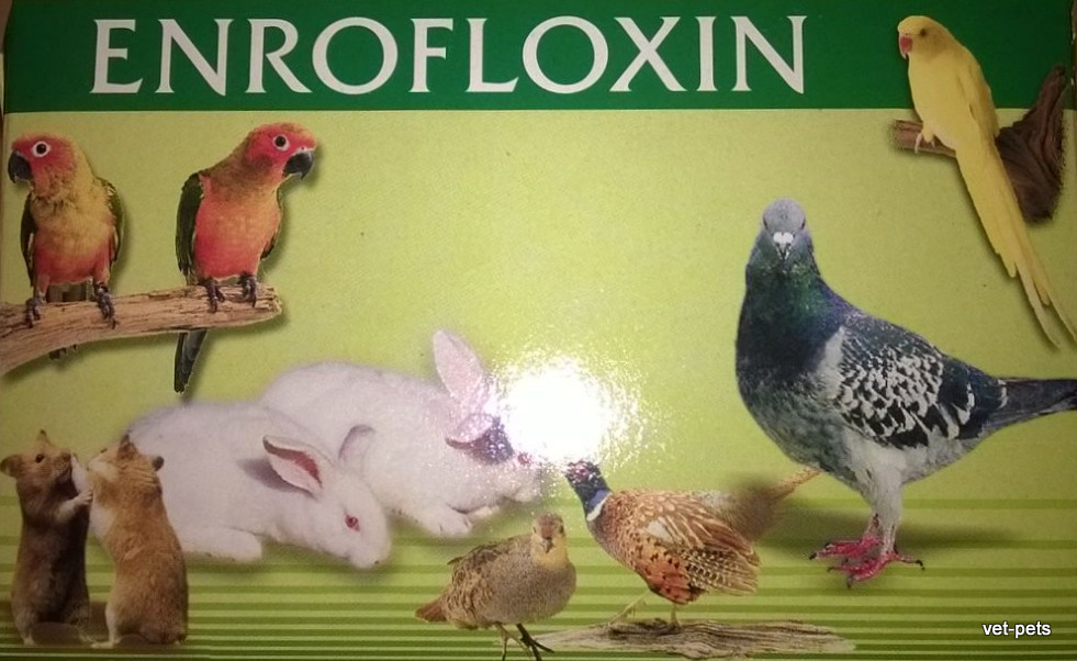 Enrofloxacin 15mg Antibacterial Pills pigeons & parrots & rabbits & Guinea pigs