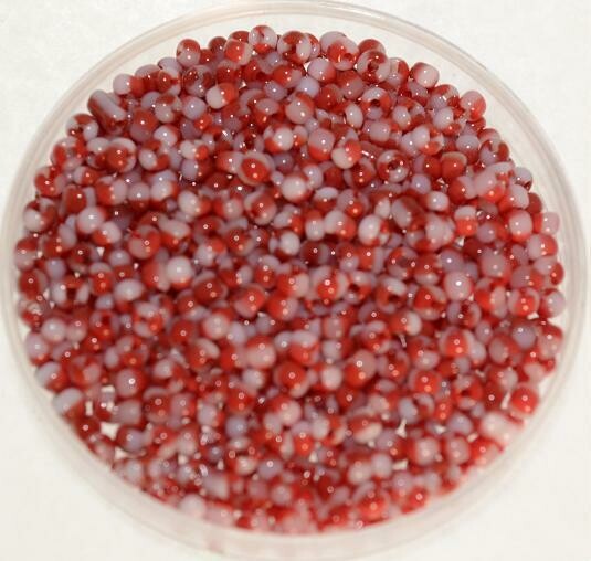 Rocailles rot-weiß 2,2 mm  / 30 g