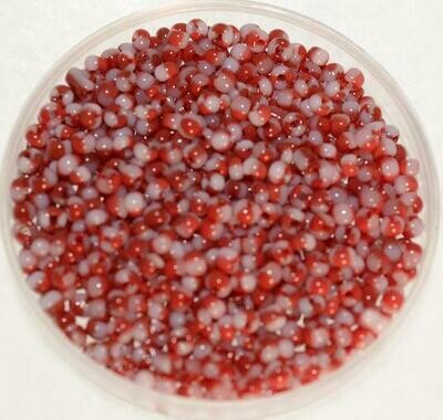 Rocailles rot-weiß 2,2 mm / 30 g Rocailles rot-weiß 2,2 mm / 30 g